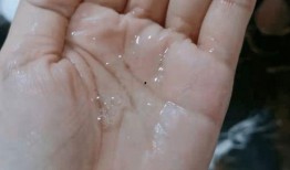 最近比较劲爆的大瓜,最新劲爆大瓜揭秘！